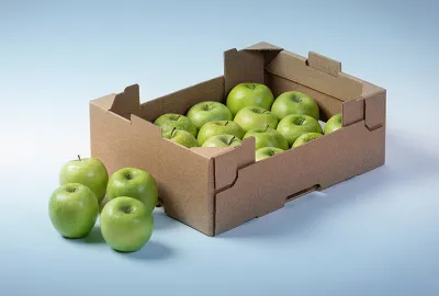 Burgo Containerboard: a firm stand for circular economy