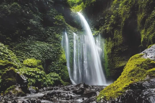 The <em>Burgo Group 2022 Sustainability Report</em> is online
