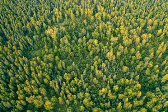 Report Centrica: the path to Net Zero
