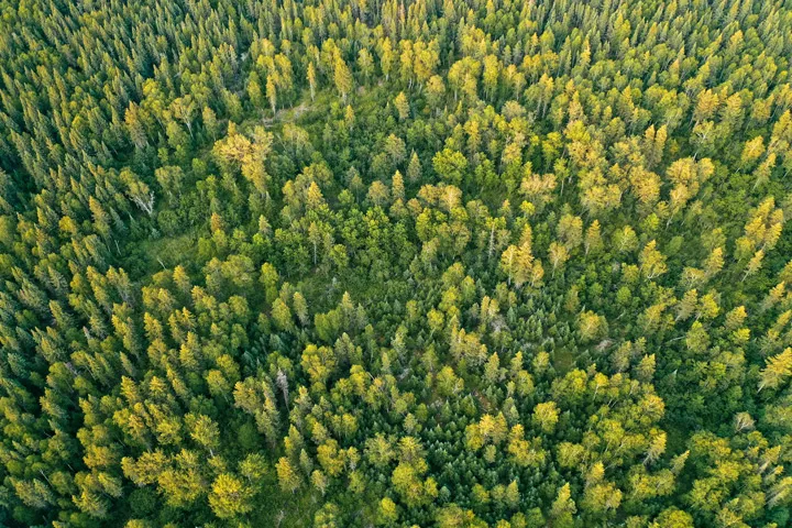 Report Centrica Italia: il percorso verso il Net Zero
