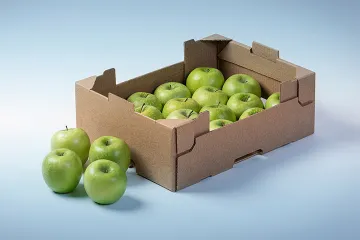 Burgo Containerboard: una scelta di campo a favore dell'economia circolare
