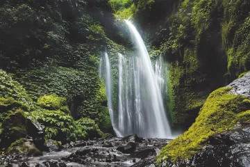 The <em>Burgo Group 2022 Sustainability Report</em> is online
