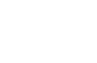 Burgo Group - Logo White